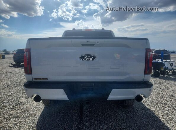 1FTFW4L84SFC32392 2025 FORD F150 Серый Вид сзади