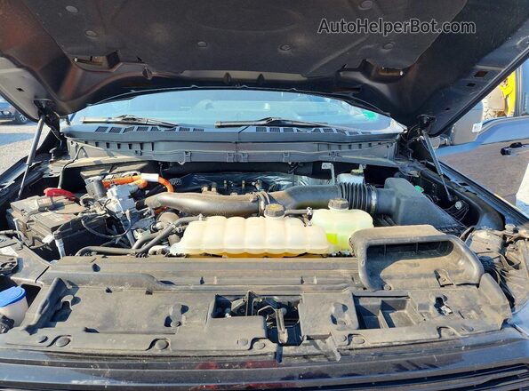 1FTFW7LD3RFB59654 2024 FORD F150 Black Rear interior view