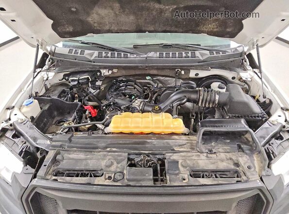 1FTMF1C89HKD44269 2017 FORD F150 Белый Вид задней части салона