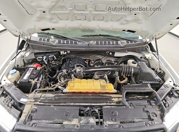 1FTMF1CB3KKD48143 2019 FORD F150 White Rear interior view