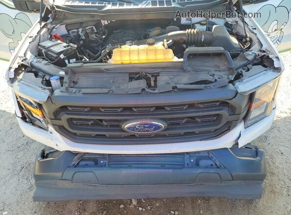 1FTMF1CB5PKE69912 2023 FORD F150 Белый Вид задней части салона