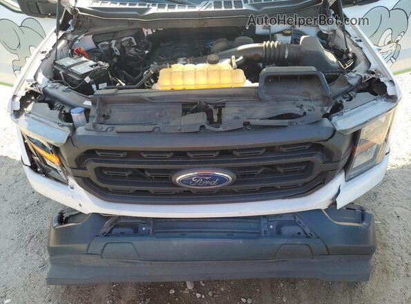 1FTMF1CB5PKE69912 2023 FORD F150 Белый Вид наклейки с VIN-кодом
