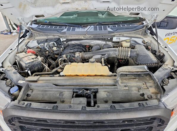 1FTMF1CB9MKD91288 2021 FORD F150 White Вид задньої частини салону