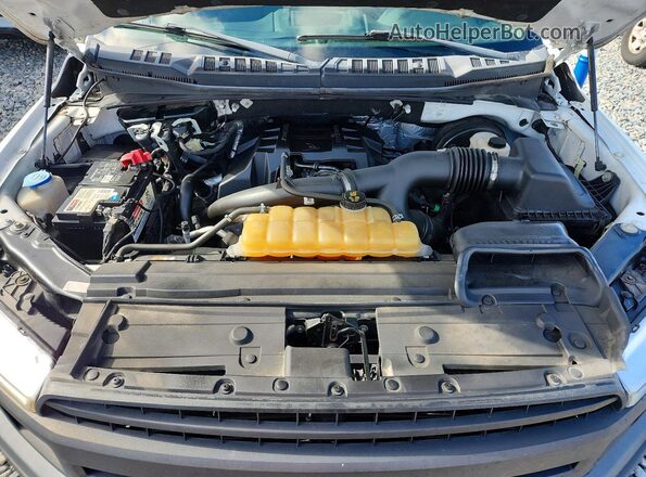 1FTMF1CP5JKD23366 2018 FORD F150 White უკანა სალონის ხედი