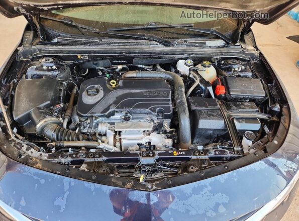 1G1ZB5ST0PF158599 2023 CHEVROLET MALIBU Синий Вид задней части салона