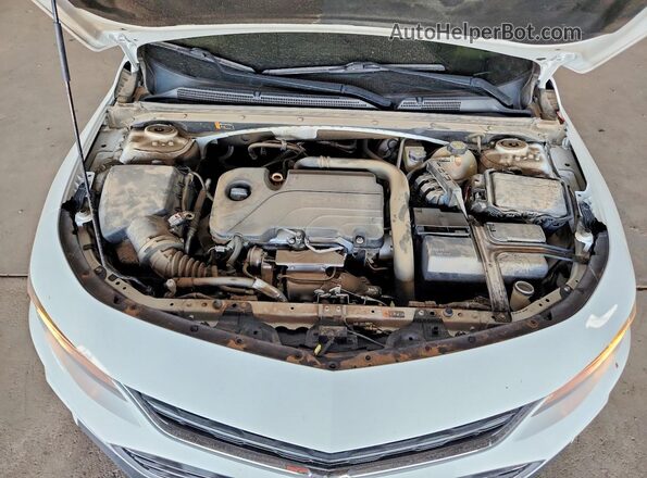 1G1ZB5ST9HF183440 2017 CHEVROLET MALIBU White Սալոնի հետևի տեսք