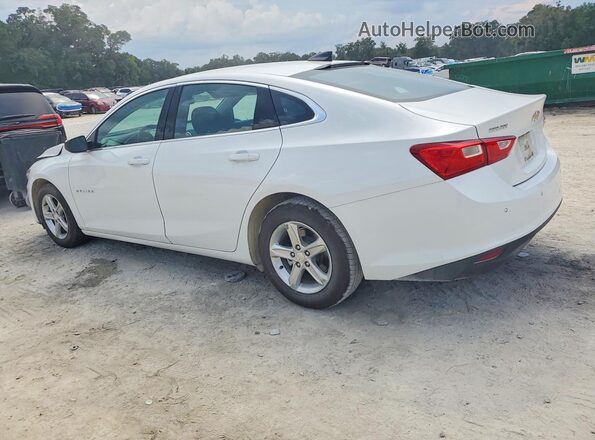 1G1ZC5ST9PF202046 2023 CHEVROLET MALIBU White Հետևի ձախ