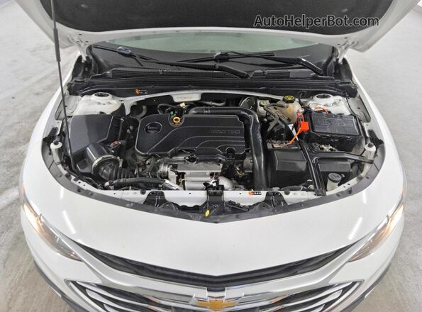 1G1ZD5ST0MF013133 2021 CHEVROLET MALIBU White Սալոնի հետևի տեսք