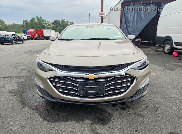 1G1ZD5ST4RF239764 2024 CHEVROLET MALIBU Tan Widok z przodu