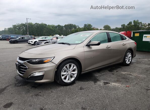 1G1ZD5ST4RF239764 2024 CHEVROLET MALIBU Tan 