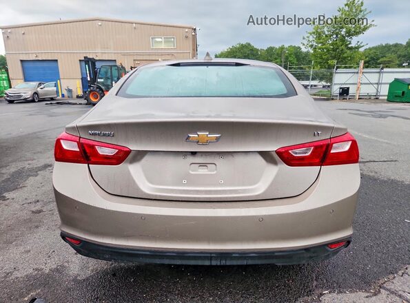 1G1ZD5ST4RF239764 2024 CHEVROLET MALIBU Tan Widok z tyłu