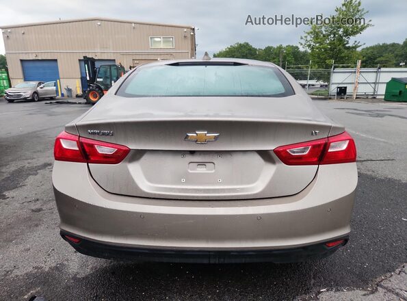 1G1ZD5ST4RF239764 2024 CHEVROLET MALIBU Tan 
