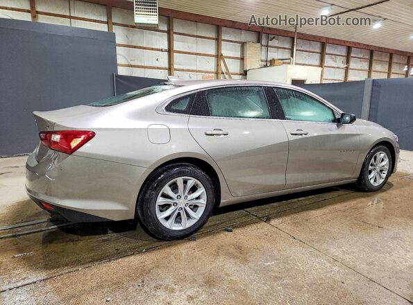1G1ZD5ST5SF121339 2025 CHEVROLET MALIBU Gold Tył prawy