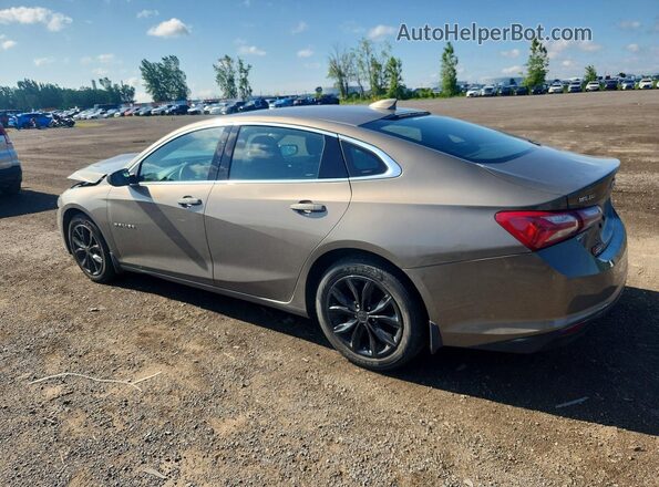 1G1ZD5ST6LF103403 2020 CHEVROLET MALIBU Beige Задня ліва чверть