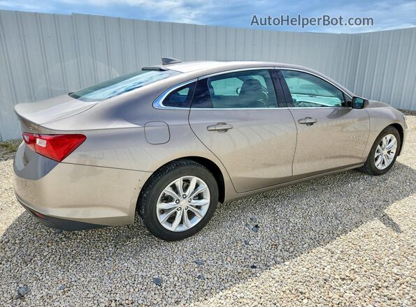 1G1ZD5ST9RF140647 2024 CHEVROLET MALIBU Tan უკანა მარჯვენა
