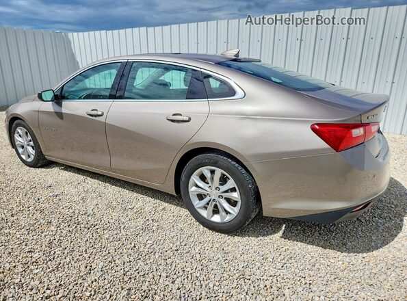 1G1ZD5ST9RF140647 2024 CHEVROLET MALIBU Tan უკანა მარცხენა