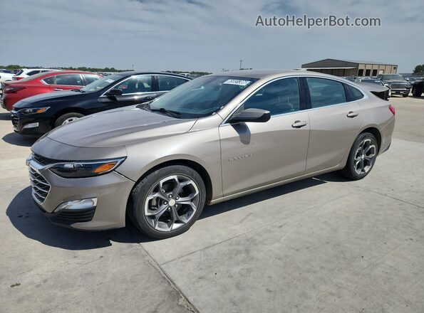 1G1ZD5STXPF204613 2023 CHEVROLET MALIBU Tan Vista de la etiqueta del VIN