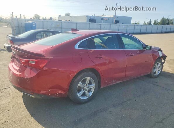 1G1ZG5ST5PF207040 2023 CHEVROLET MALIBU Red Rear right