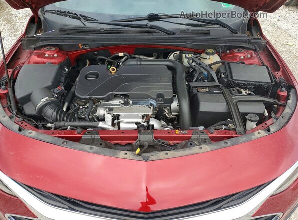 1G1ZG5ST9MF050981 2021 CHEVROLET MALIBU Burgundy უკანა სალონის ხედი