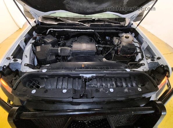 1GC1YLE76LF314497 2020 CHEVROLET SILVERADO Белый Вид задней части салона