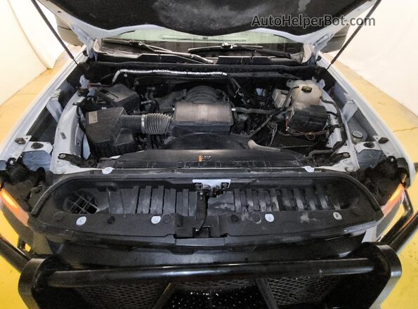 1GC1YLE76LF314497 2020 CHEVROLET SILVERADO Белый 