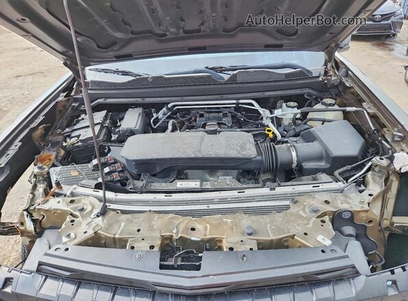 1GCGSBEC1R1247364 2024 CHEVROLET COLORADO Зеленый Вид задней части салона