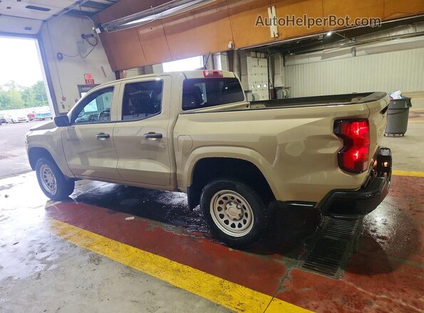1GCGSBEC5R1145288 2024 CHEVROLET COLORADO Gold უკანა მარცხენა