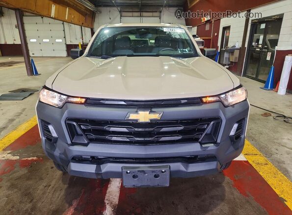 1GCGSBEC5R1145288 2024 CHEVROLET COLORADO Gold წინა ხედი