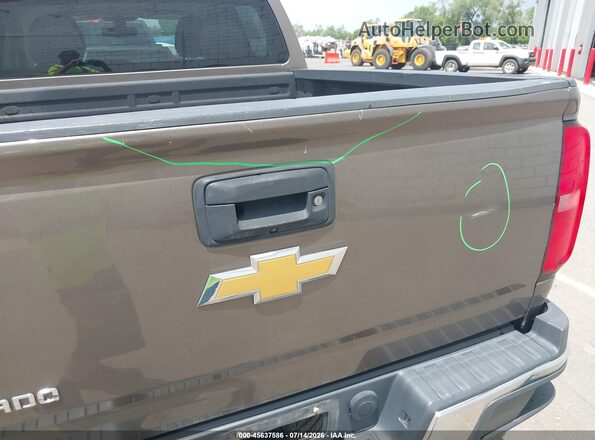 1GCGTBE36G1284307 2016 CHEVROLET COLORADO Pewter Вид задней части салона