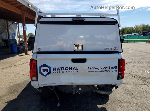 1GCGTBEC7R1142437 2024 CHEVROLET COLORADO White Widok z tyłu