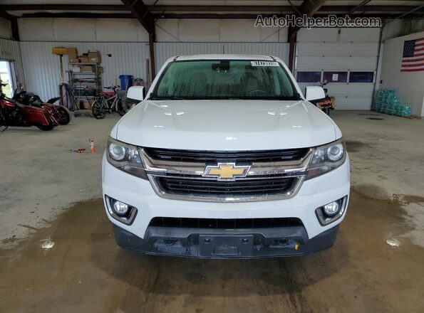 1GCGTCEN9L1186308 2020 CHEVROLET COLORADO White Vista de la etiqueta del VIN