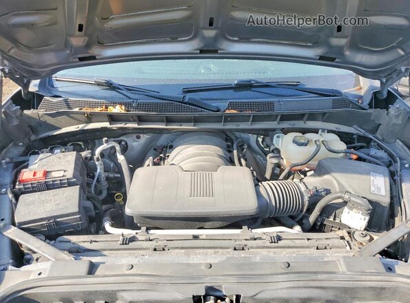 1GCPYCEF6MZ298528 2021 CHEVROLET SILVERADO Gray Вид задньої частини салону