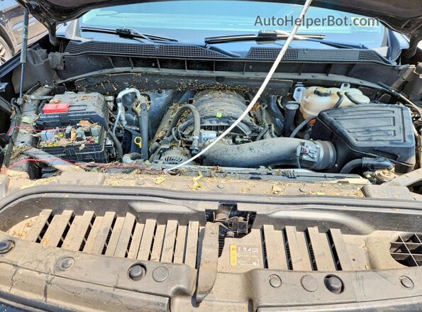 1GCUDEED3PZ299942 2023 CHEVROLET 1500 Black Вид задньої частини салону
