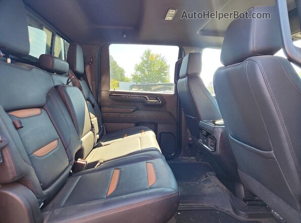 1GT49PEY9RF232069 2024 GMC SIERRA White Widok tylnych siedzeń