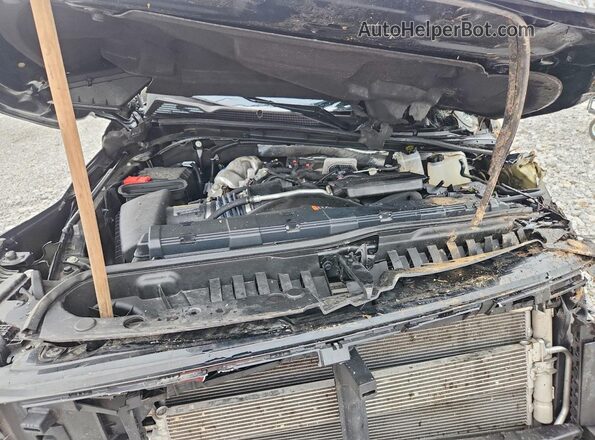 1GT49REY8RF459846 2024 GMC SIERRA Black Widok wnętrza z tyłu