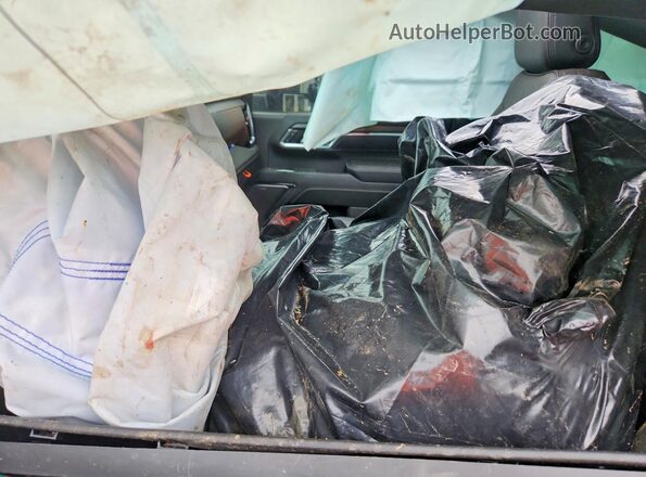 1GT49REY8RF459846 2024 GMC SIERRA Black Widok wnętrza z przodu