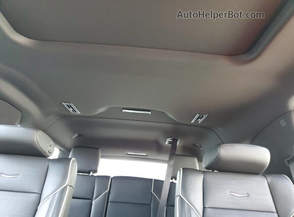 1GYS4NKL8PR266822 2023 CADILLAC ESCALADE Black უკანა სავარძლების ხედი