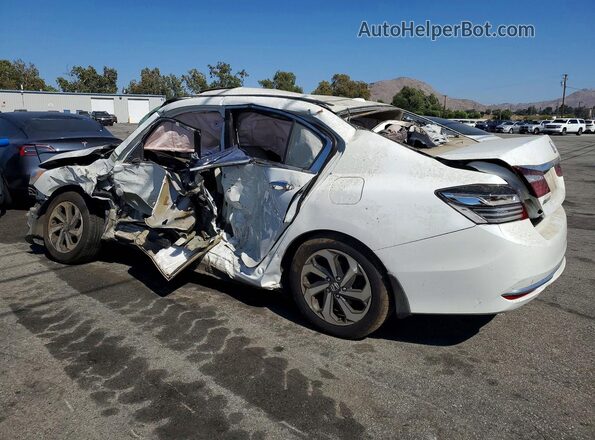 1HGCR2F01GA016493 2016 HONDA ACCORD Белый Задняя левая четверть