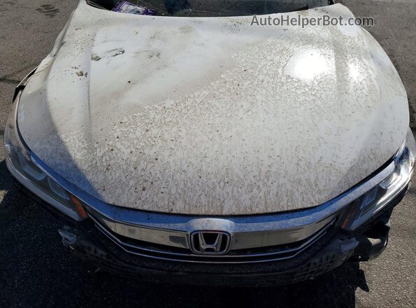 1HGCR2F01GA016493 2016 HONDA ACCORD Белый Вид задней части салона