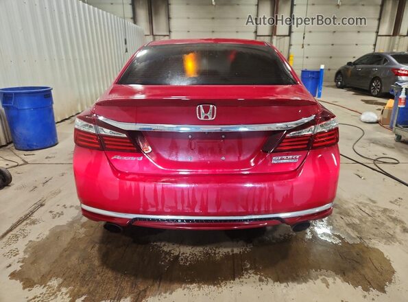 1HGCR2F15HA048986 2017 HONDA ACCORD Red Widok z tyłu