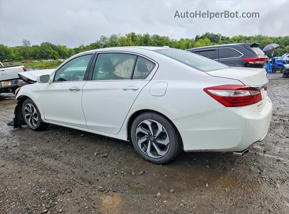 1HGCR3F00HA036239 2017 HONDA ACCORD White Tył lewy