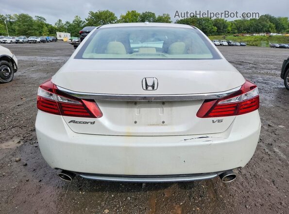 1HGCR3F00HA036239 2017 HONDA ACCORD White Widok z tyłu