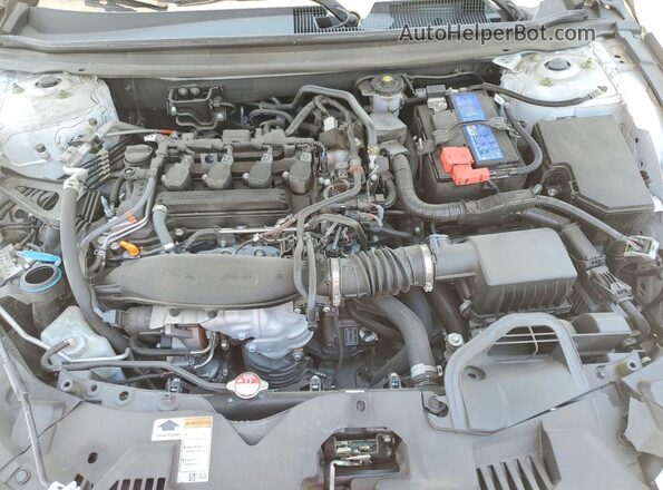 1HGCY1F25RA024047 2024 HONDA ACCORD White უკანა სალონის ხედი