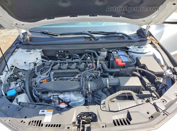 1HGCY1F32RA087759 2024 HONDA ACCORD White უკანა სალონის ხედი