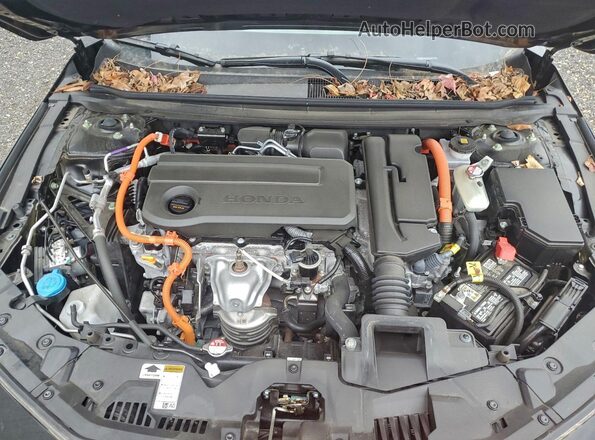 1HGCY2F52RA084223 2024 HONDA ACCORD Blue უკანა სალონის ხედი