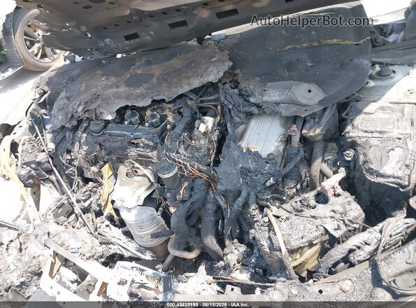 1HGCY2F58RA036760 2024 HONDA ACCORD Серый Вид сзади