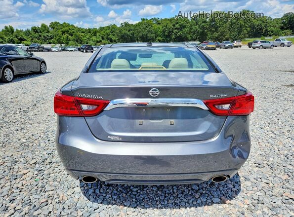 1N4AA6AP0GC420226 2016 NISSAN MAXIMA Gray Հետևի տեսք