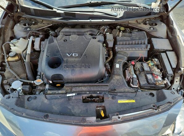 1N4AA6AP0GC420226 2016 NISSAN MAXIMA Gray Սալոնի հետևի տեսք