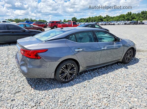 1N4AA6AP0GC420226 2016 NISSAN MAXIMA Gray Հետևի աջ