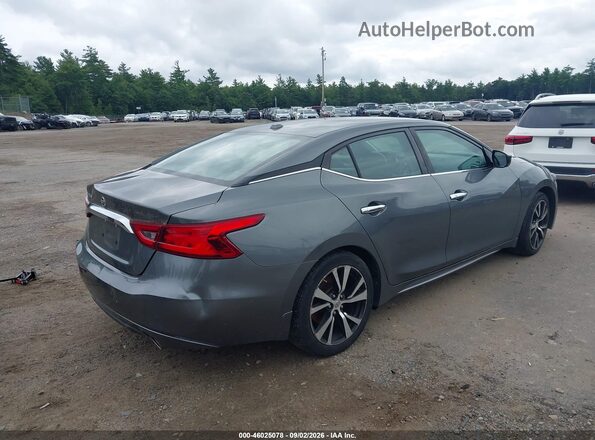 1N4AA6AP1HC456203 2017 NISSAN MAXIMA Gray Հետևի աջ